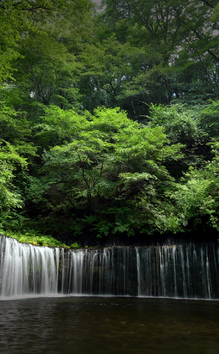 胸の高鳴りが、原点になる。